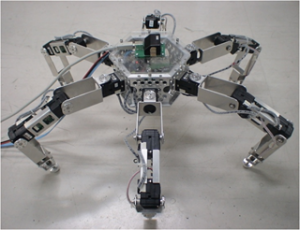 腕脚統合型ロボットによる動的回転歩行