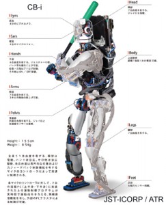 ２足歩行ヒューマノイドロボットの柔軟なバランス、歩行、運動学習