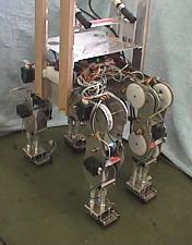 4足ロボットの生物規範型不整地適応動歩行